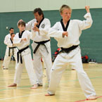 Poomsae training at Palatine